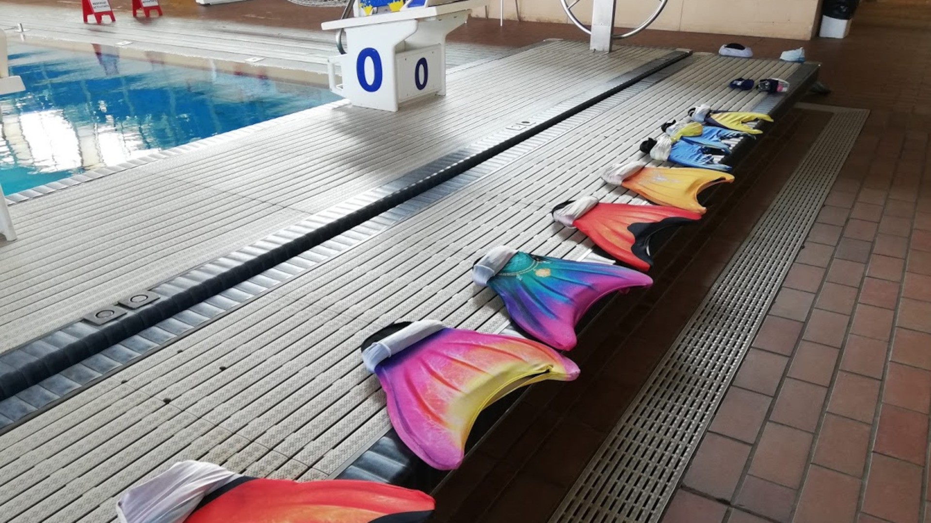 La Colombia proposa celebrar el teu aniversari a la piscina fent de Sirena o Tritó, gaudeix de la teva festa amb els teus amics i familiars Sirenes & Tritons, aniversari 2021-2022